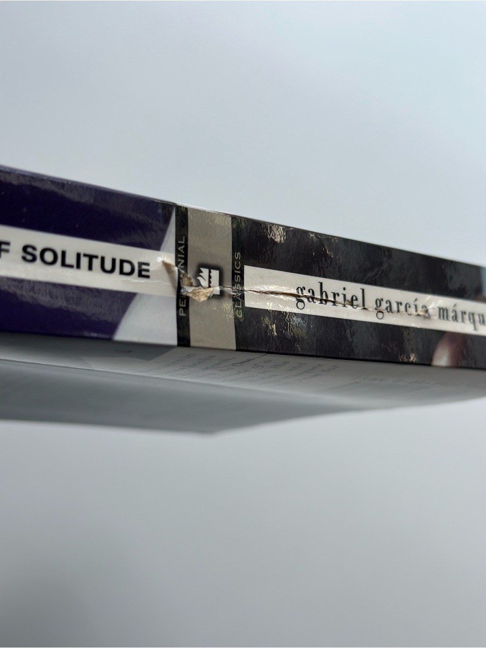 One Hundred Years of Solitude by Gabriel Garcia Marquez |Fiction| FREE W/ PURCH - Picture 5 of 12